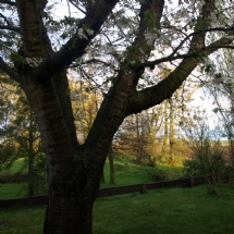 Charmehotel De stokerij te Oudenburg, West-Vlaanderen - Overnachten nabij Brugge, Oostende en De Haan